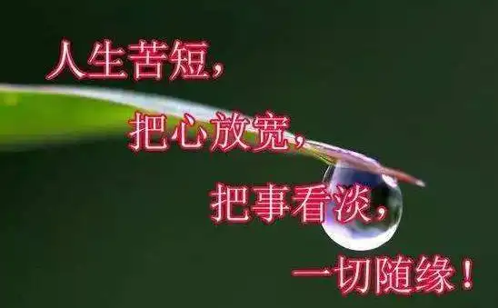 看淡人生感悟的句子经典