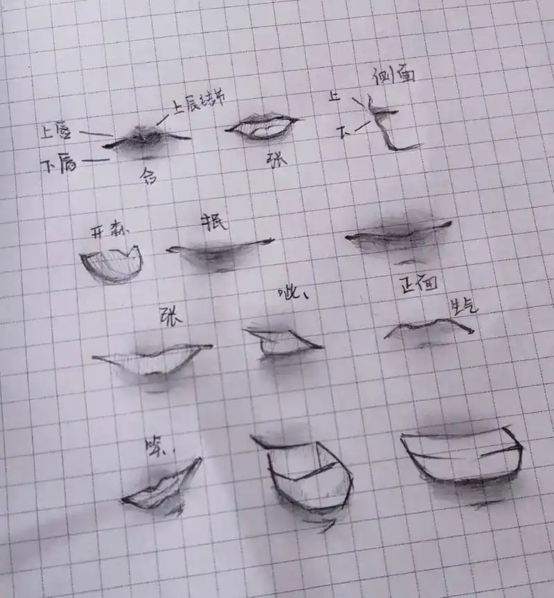 嘴巴的绘制(教程) 在漫画时,我们一般会把嘴部忽略