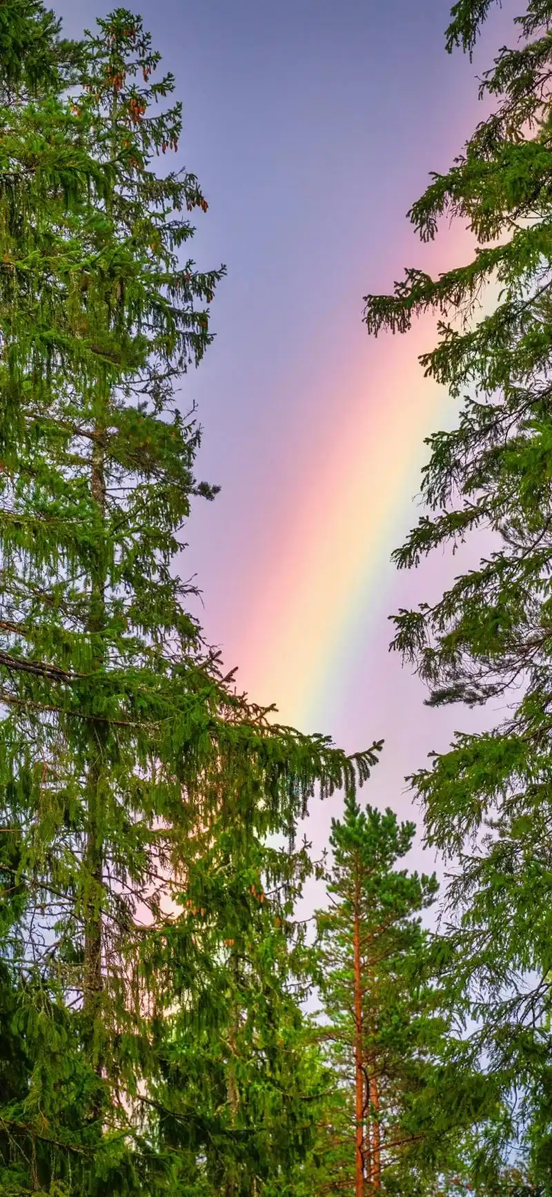 彩虹应该要算世界上最美的.