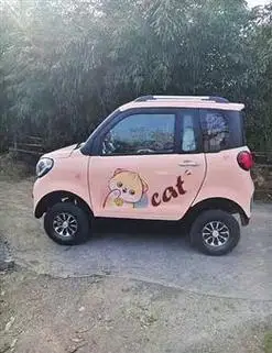 老年代步车究竟驶向何处