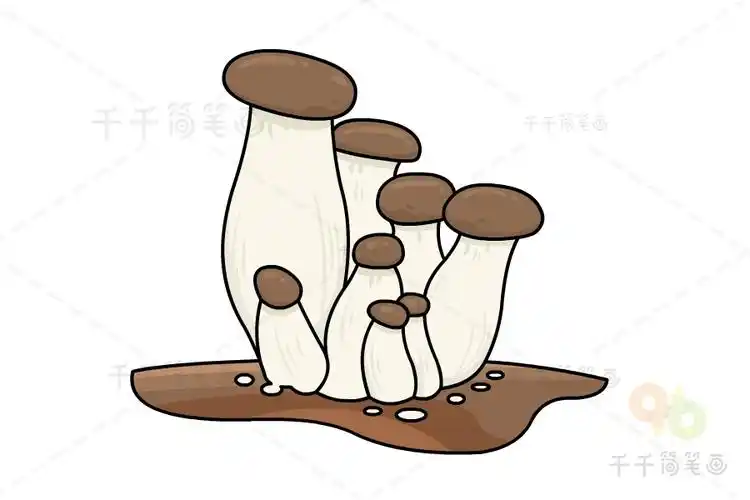 杏鲍菇简笔画图解