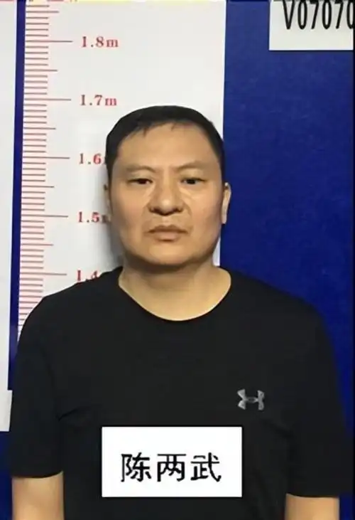 揭阳市陈两武涉黑头目被打击,名下12辆靓号豪车被法院上架拍出