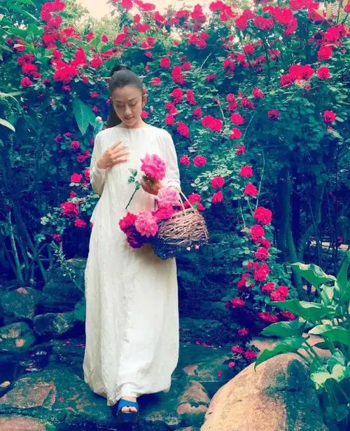 杨丽萍简历及个人资料简介(孔雀皇后杨丽萍) - 好技术常识经验网