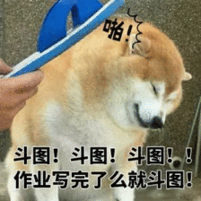 224_224gif 动态图 动图