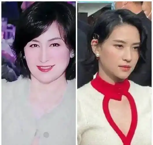 何超琼和何超莲长的像连打扮也像何超琼和多人撞脸若不像我删