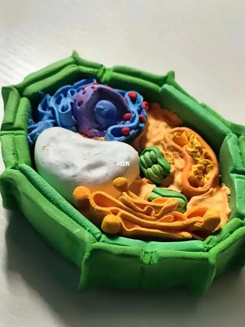 浅浅捏一个细胞器模型