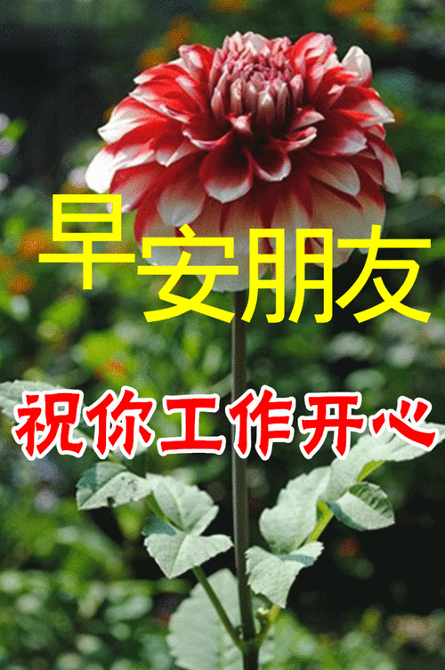 4月10日最漂亮早上好动态表情图片及早晨好动图美图大全