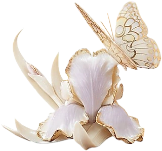 ps免抠素材史上最全的花类png透明素材293pps吧百度贴吧