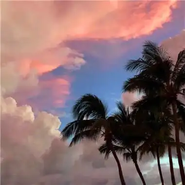 很治愈的小清新唯美风景头像图片 2023微信超火的治愈系风景头像_风景