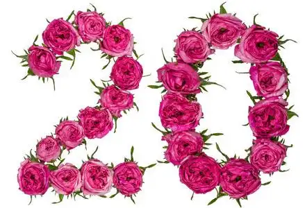 阿拉伯数字 20, 二十, 从红色的玫瑰花, 孤立照片