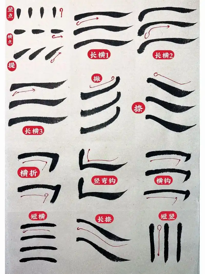 小白书法入门06隶书基本笔画系列大全 #无眼影红唇妆# ###我的书法
