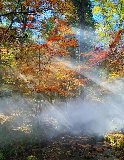 中国最美的草原林海在哪里?
