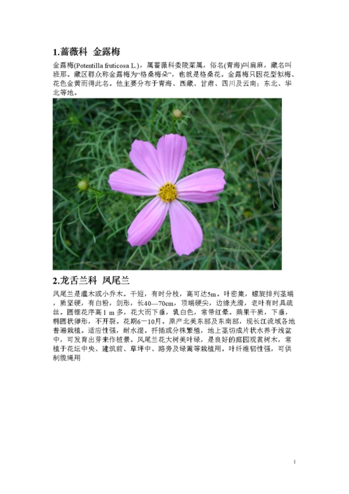 常见花名及图片.doc