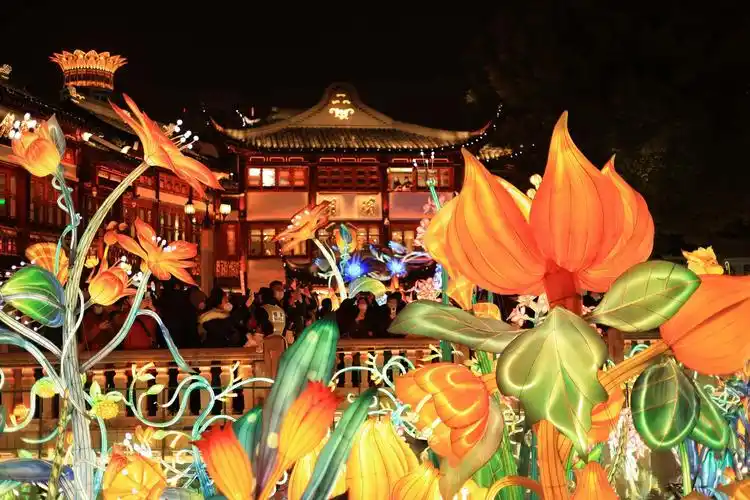 元宵节丨天南地北探花灯流光溢彩过元宵