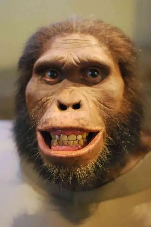 这些长相奇怪的男女中,有些是人类的进化祖先,但有些可能是原始人