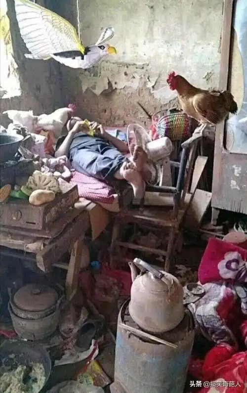 邋遢的人能赃到什么地步网友看看我的床就知道了