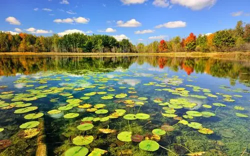 平静唯美的湖面风景图片桌面壁纸