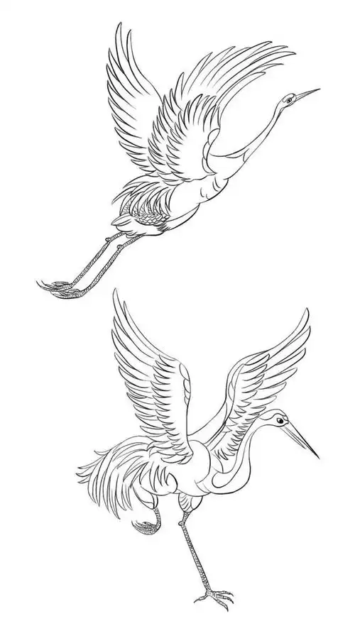 09:28:43鹤线稿手绘789456asd该采集也在以下画板加载更多