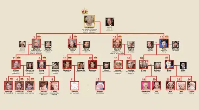 英国女王去世长女继承顺序为啥才排17