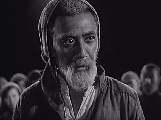 平原游击队的剧照