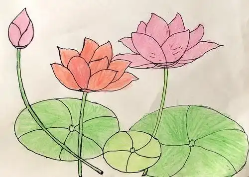 少儿书画作品-《荷花》/儿童书画作品《荷花》欣赏_中国少儿美术网