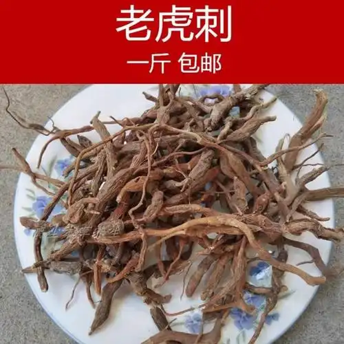 中草药 老虎刺中药材虎刺根 老鼠刺 绣花针 白凤珠 干品 老虎刺枝叶