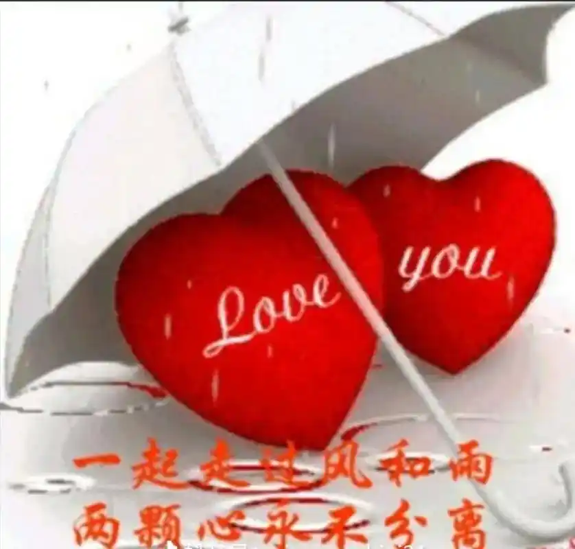 有一种缘分,费尽心思也留不住,有一类人群,丢了心痛,相守心伤 - 抖音