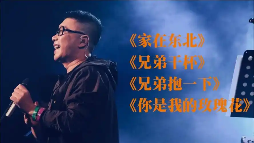 庞龙经典音乐家在东北兄弟干杯兄弟抱一下你是我的玫瑰花