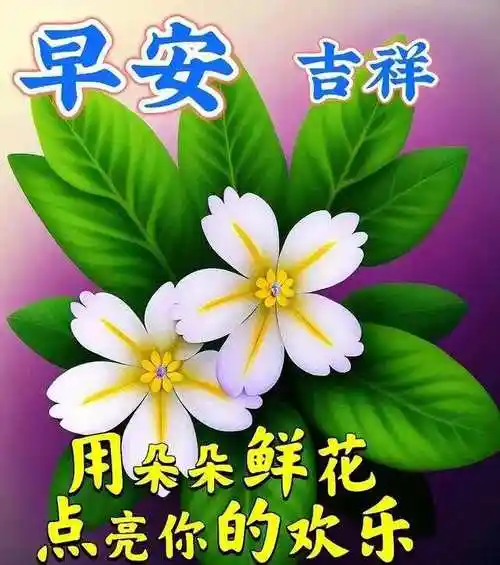 3月31日今日最新早安问候祝福图片,清晨早上好祝福图片