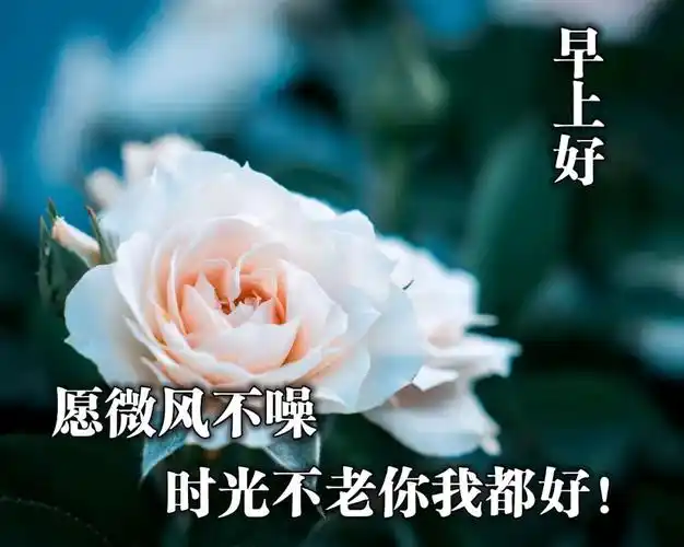 原创朋友圈最漂亮早安问候语温馨图片全新早上好图片感悟语录