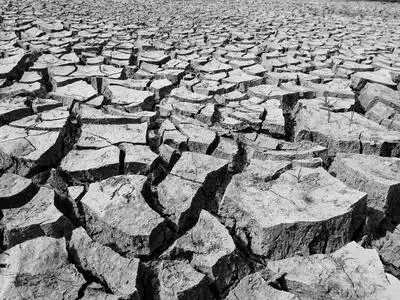 黑色和白色裂纹的地球纹理照片