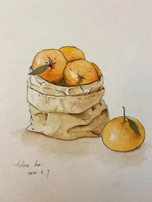 今日的钢笔淡彩静物桔子练笔附线稿