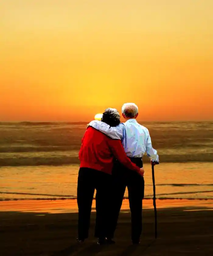 今天农历七月七我愿化作一只鹊