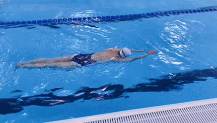 成年人不花钱怎么能学会游泳