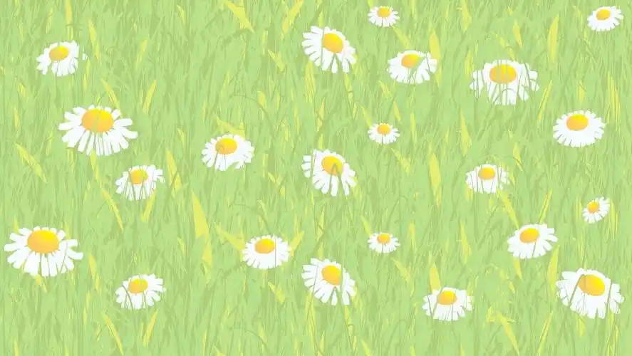 黛西无缝矢量背景