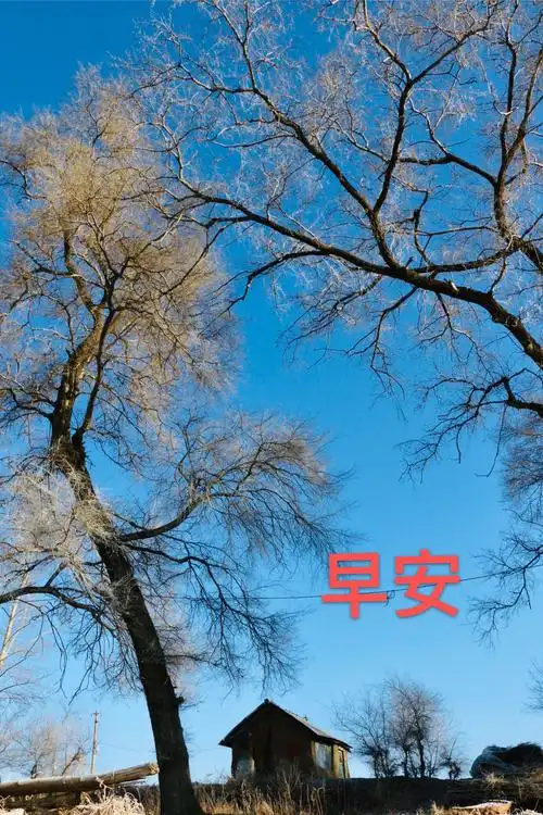 2019早安图汇(一) - 美篇