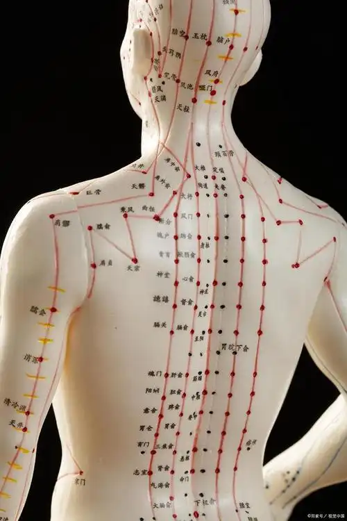 宣通并补 水火相安——过敏性鼻炎辅助治疗穴位