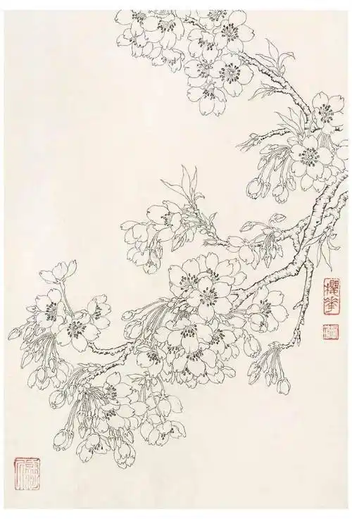 名家教你画白描花鸟