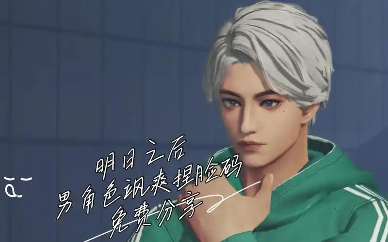 明日之后男角色飒爽捏脸码分享