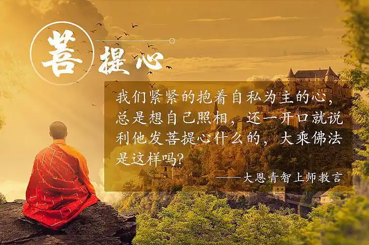 佛教学会佛眼看人佛心处事的大智慧人生从此幸福无碍