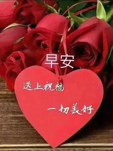 早安集锦2020.10.14