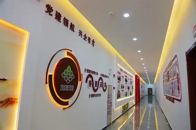 九方制药党支部党建文化墙.张重摄