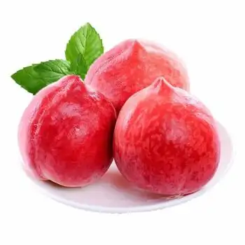 金翁山 优选一级水蜜桃 净果3斤