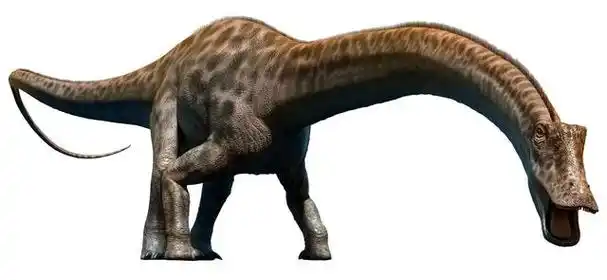 梁龙(diplodocus)是一种生活在侏罗纪晚期的巨型蜥脚类恐龙,属于梁龙