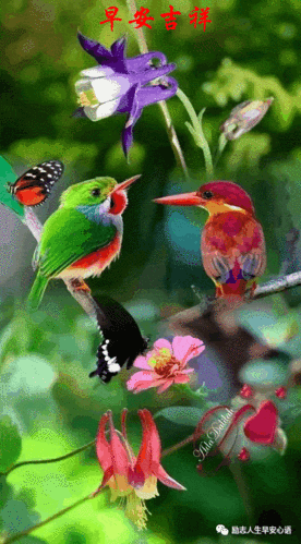 564_1020竖版 竖屏gif 动态图 动图