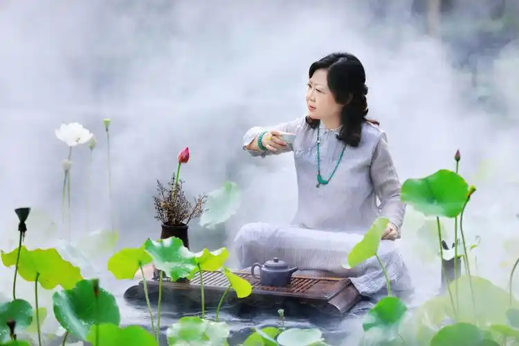 心静如水 荷塘月色一样美