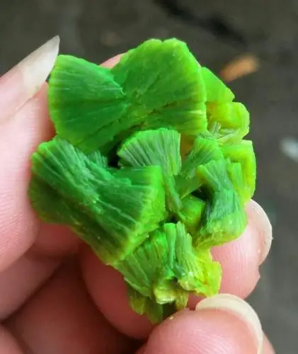 桂林矿物晶体拍卖群06期8月12号晚上拍品展示! - 美篇