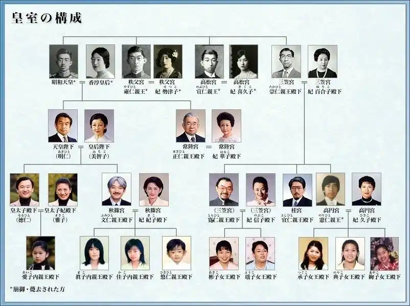 年轻时的三笠宫崇仁亲王曾是军人(网页截图) 日本皇室关系图(网页截图