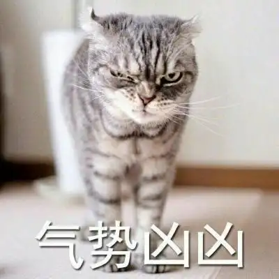 猫咪表情包头像 凶凶哒