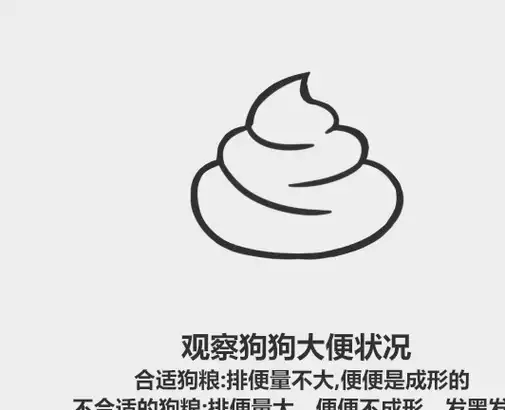 59秒冷盘点:买狗粮越贵越好?泰迪金毛选狗粮很不一样